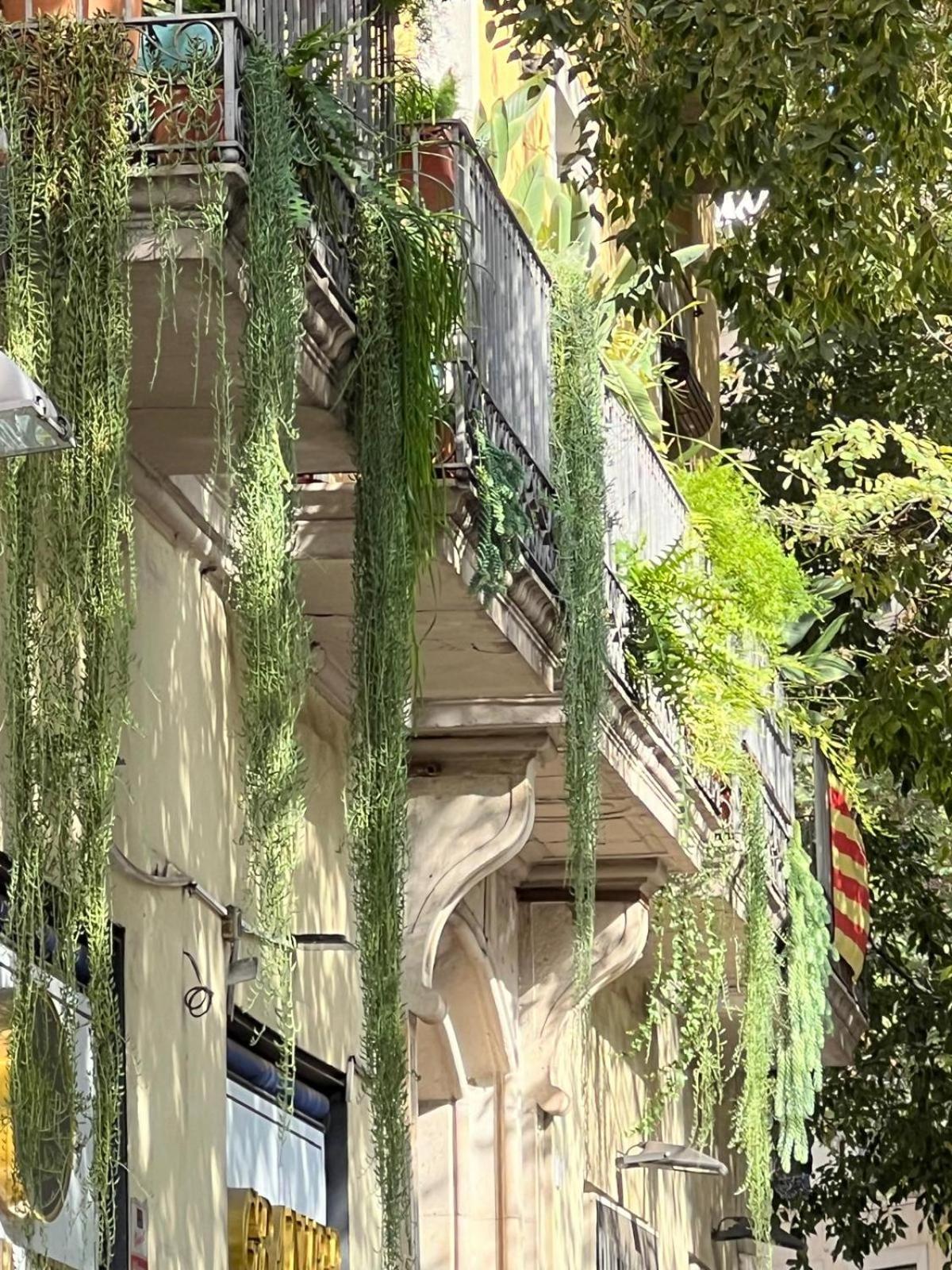 Maison d'hôtes Plaza Goya Barcelone